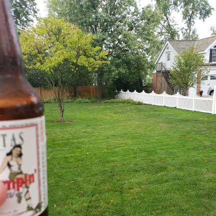 Things are looking up.